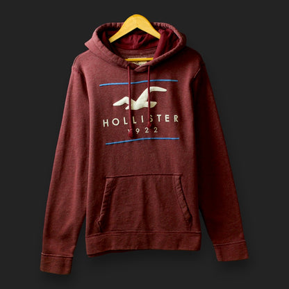 Hollister Hoodie (Size-L)